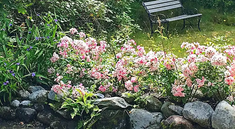 Sommerhus ved Fjellerup Strand