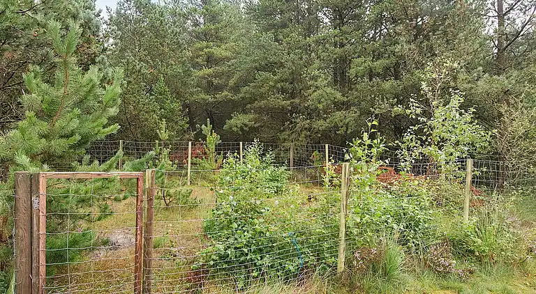 Holiday home in Bolilmark