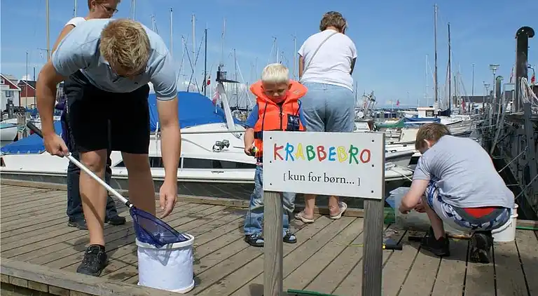 Sommerhus i Juelsminde