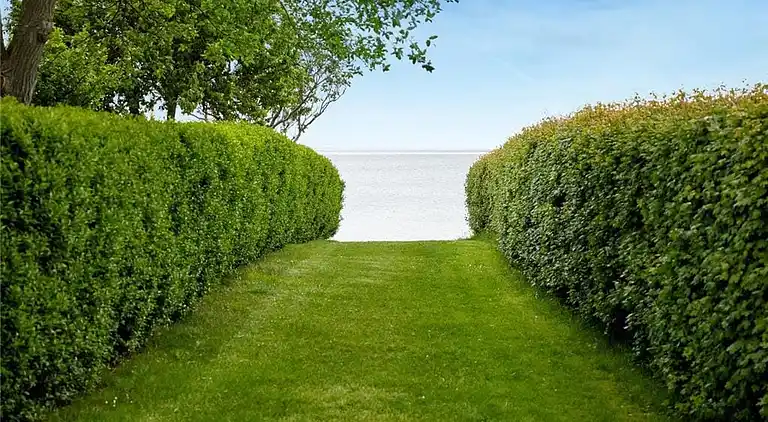 Sommerhus ved Saksild Strand