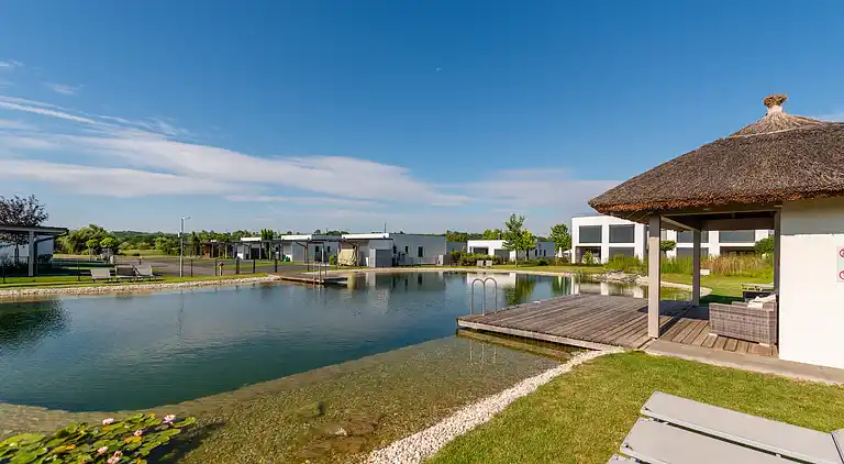 Apartment in Lutzmannsburg