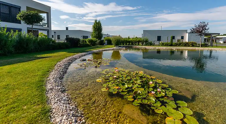 Apartment in Lutzmannsburg