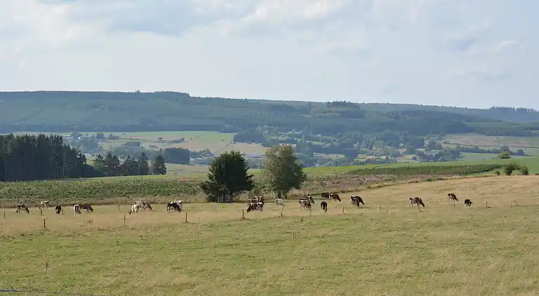 Ferienhaus in Bouillon