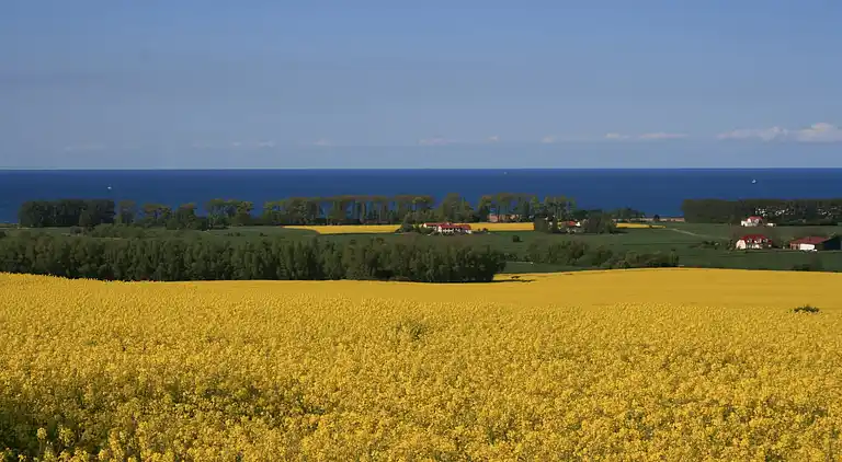 Ferielejlighed i Kühlungsborn