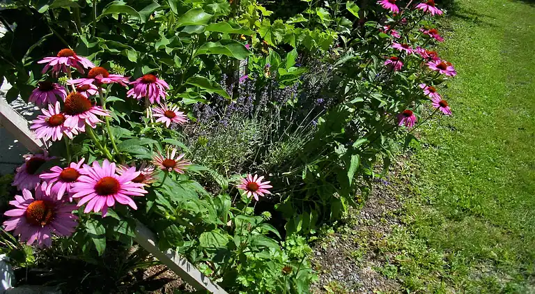 Ferielejlighed i Innerlehen