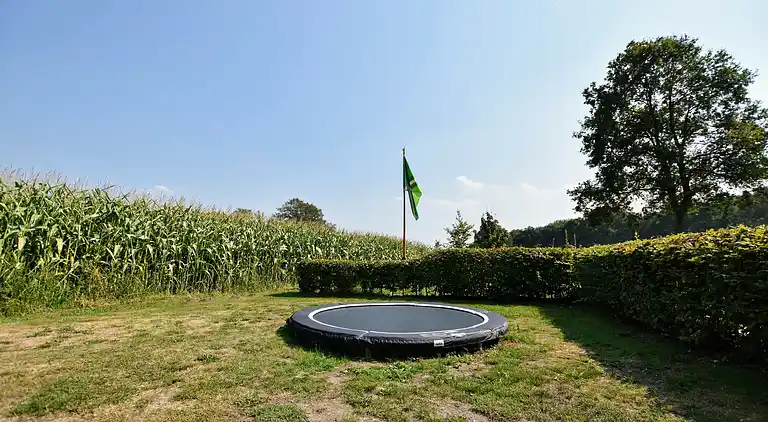 Farm house in Winterswijk Woold