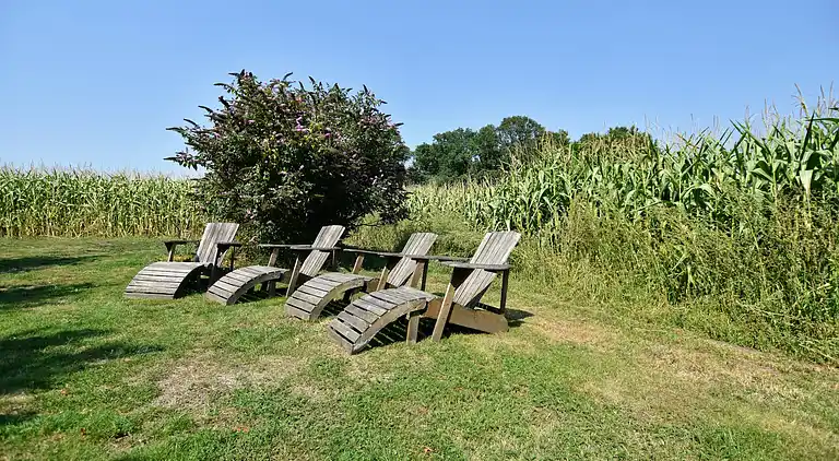 Farm house in Winterswijk Woold