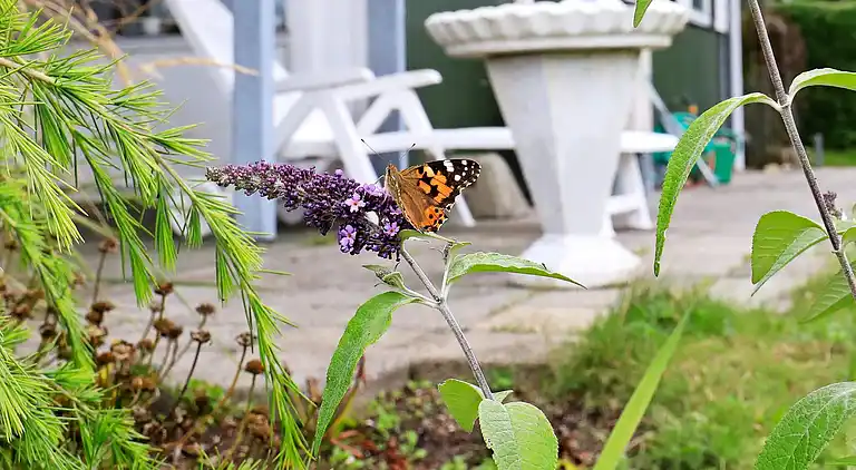 Holiday home in Roslev