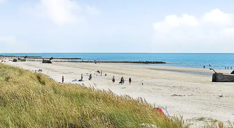 Sommerhus i Blåvand