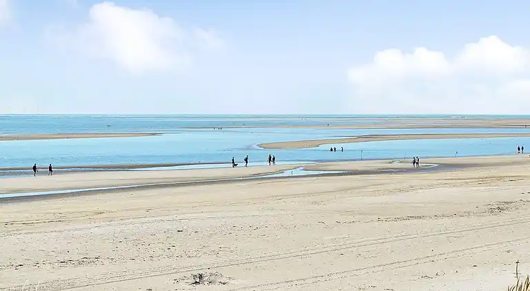Sommerhus i Blåvand