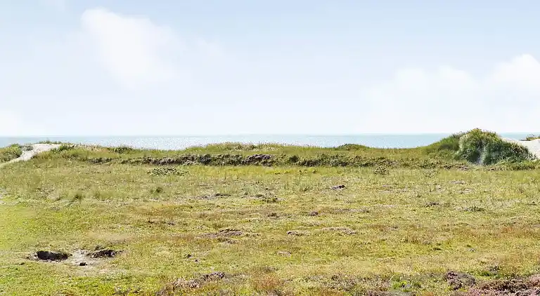 Sommerhus i Blåvand