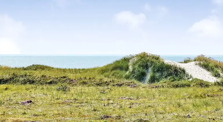 Sommerhus i Blåvand
