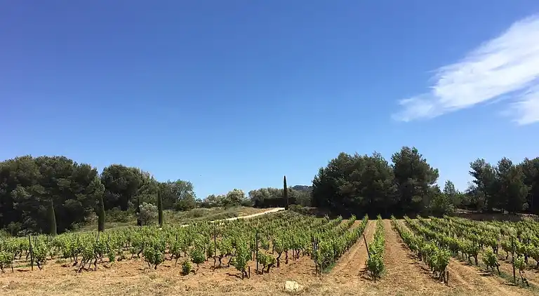 Villa in La Cadière-d'Azur