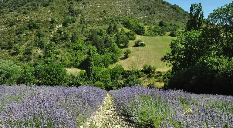 Villa in Sainte-Cécile-les-Vignes
