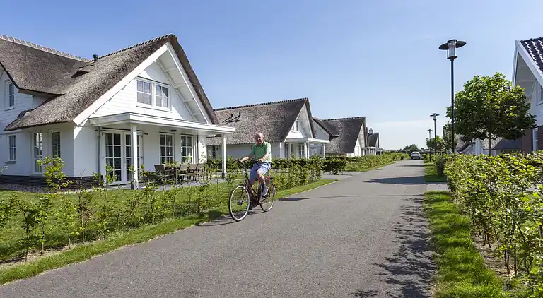 Villa in South Holland