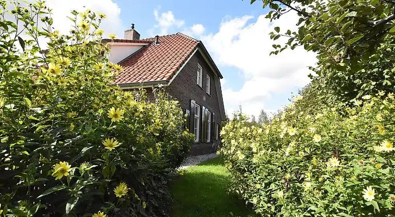 Holiday home in Hollandscheveld