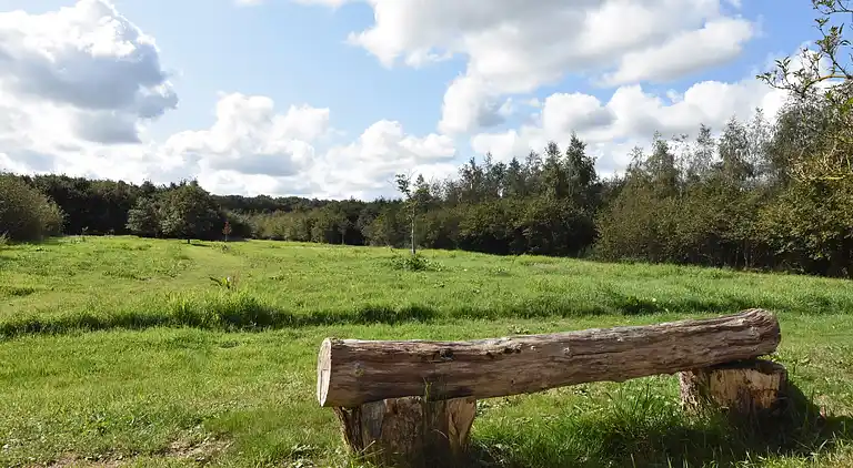 Holiday home in Hollandscheveld