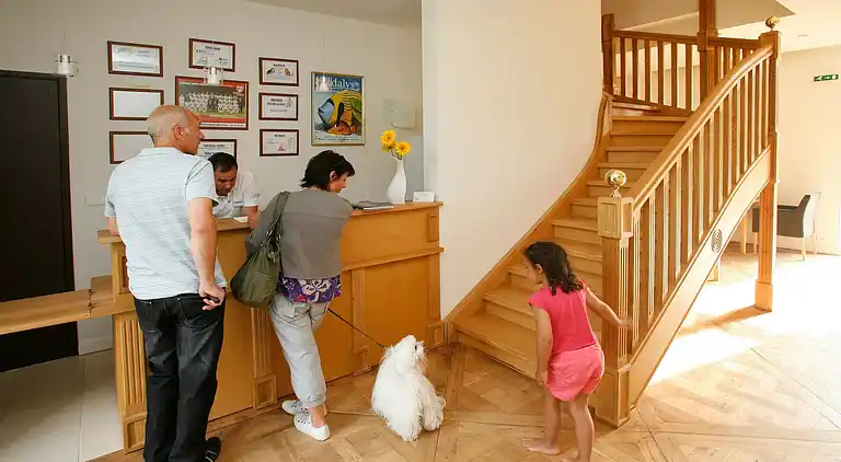 Apartment in Erdeven