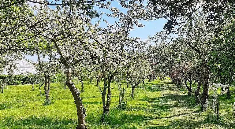 3 room,w/partially seaview