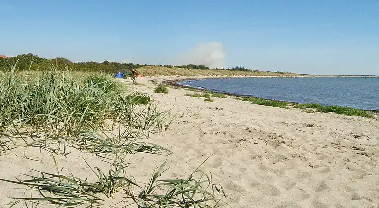 Holiday home in Dannemare