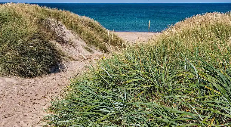 Sommerhus ved Vrist Strand