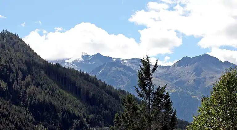 Cottage in Wald im Pinzgau