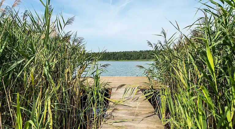 Sommerhus i Wielka Wieś