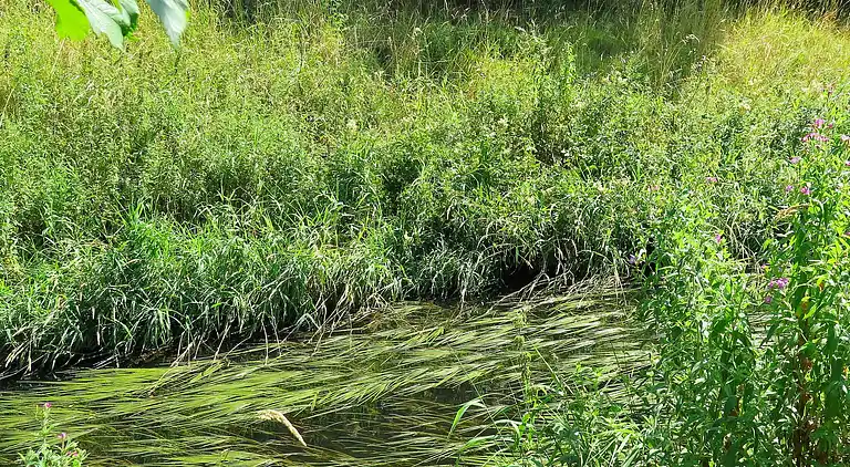 Holiday home in Lemvig