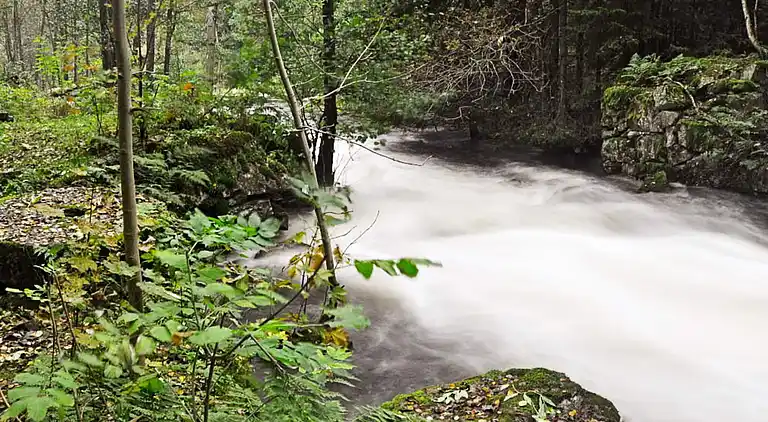 Sommerhus i Varberg Ö