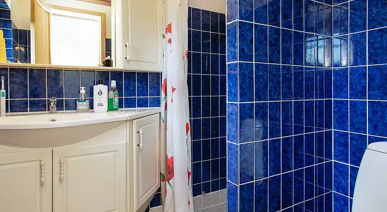 Vakantiehuis in Ellinge Lyng