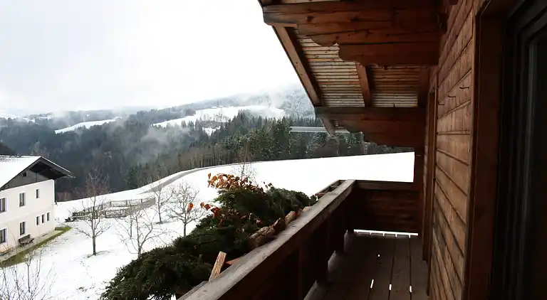 Holiday home in Hüttau