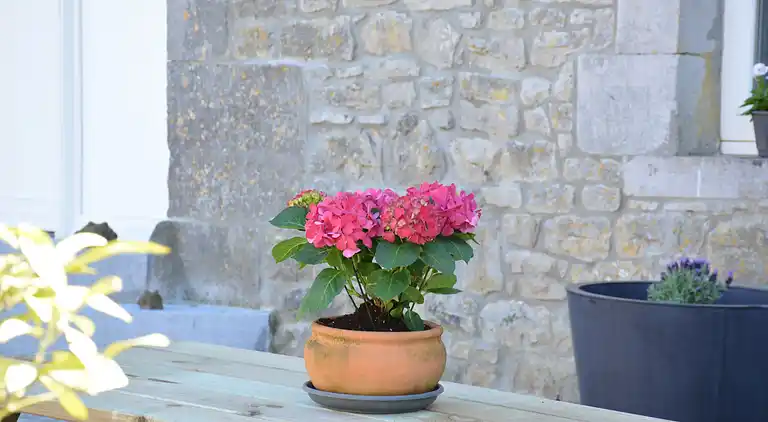 Farm house in Ouffet