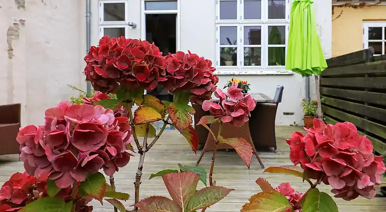 Sommerhus i Rudkøbing