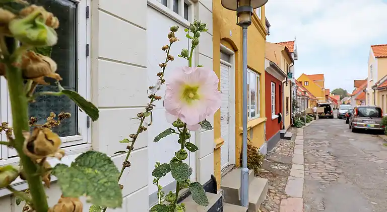 Sommerhus i Rudkøbing