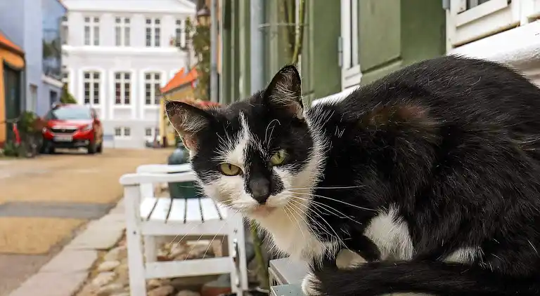 Sommerhus i Rudkøbing