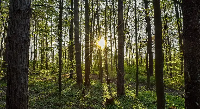 Sommerhus i Oignies-en-Thiérache
