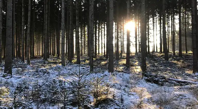 Sommerhus i Oignies-en-Thiérache