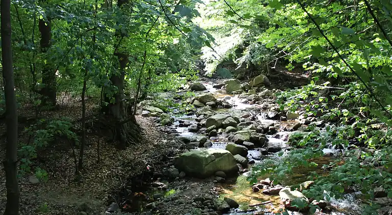Holiday home in Abbenrode
