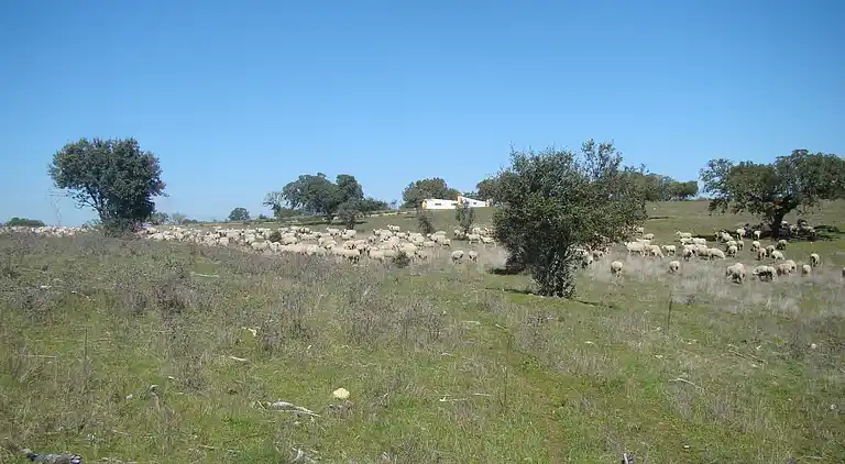 Sommerhus i Herrera de Alcántara