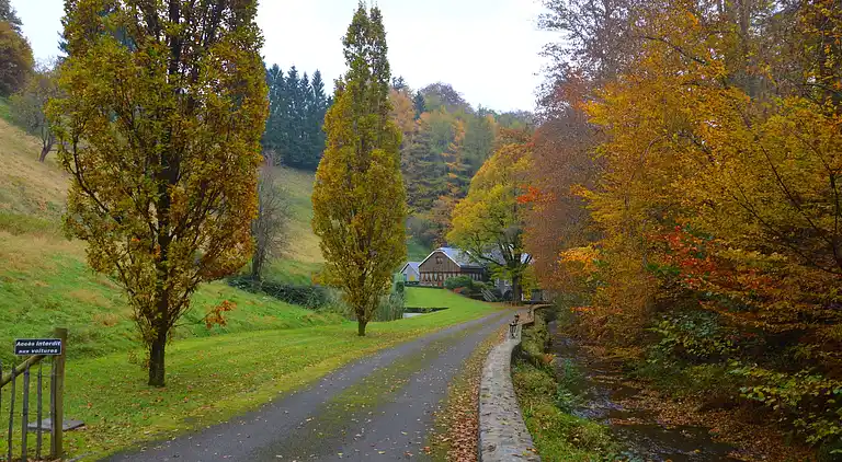 Ferienhaus in Vresse-sur-Semois