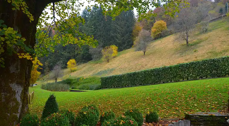 Ferienhaus in Vresse-sur-Semois