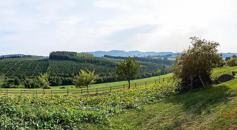 Manor house in Altenilpe