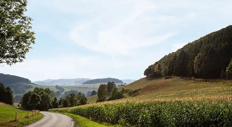 Manor house in Altenilpe