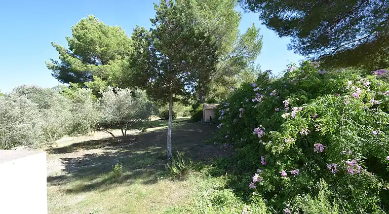 Herregård i Cala Llonga