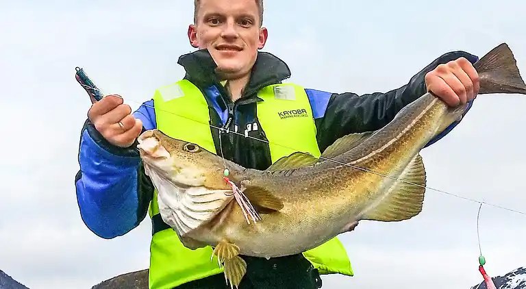 Holiday home in Sifjord