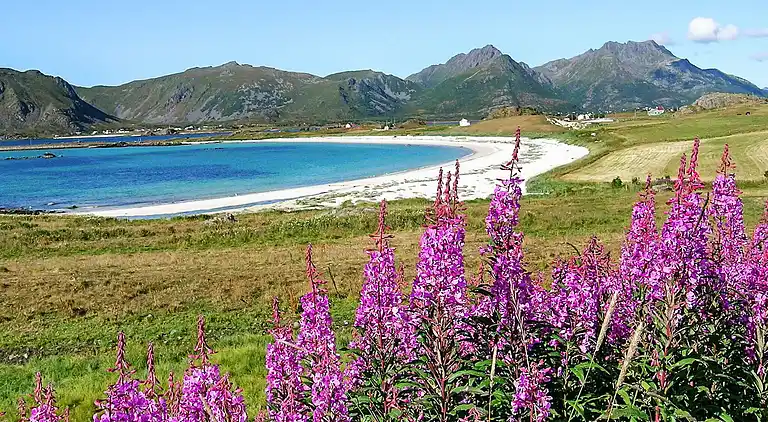 Sommerhus i Sortland