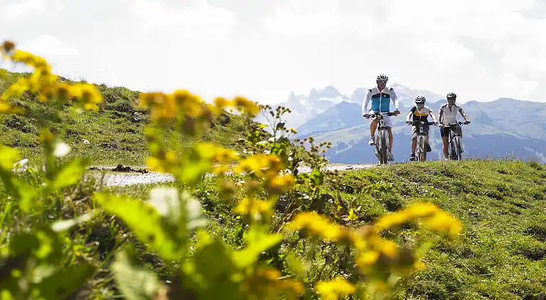 Sommerhus i Gaschurn