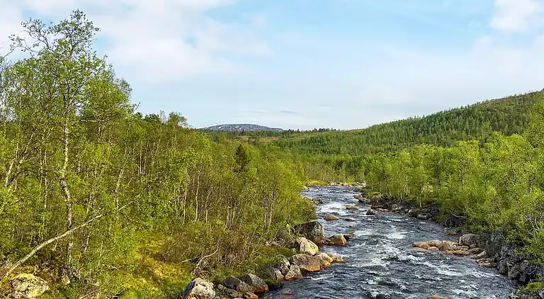 Holiday home in Sifjord