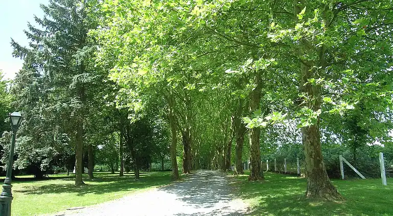 Apartment in Barvaux-sur-Ourthe