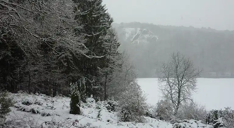 Apartment in Barvaux-sur-Ourthe